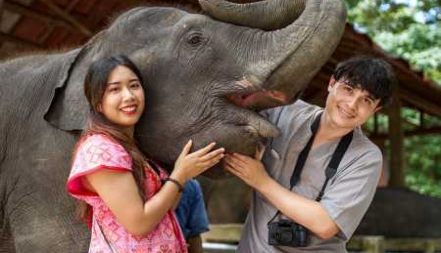 The Ultimate Cheat Sheet on Travel